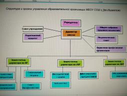 Информация об органах управления и структурных подразделениях (схема)